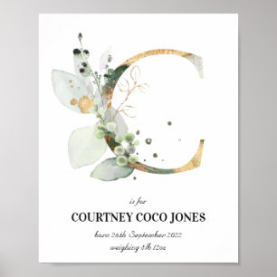 Brev C Nyfödd bebis Monogram Birth Print Greenery Poster