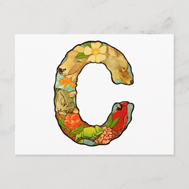 Brev C Vykort (Framsida)