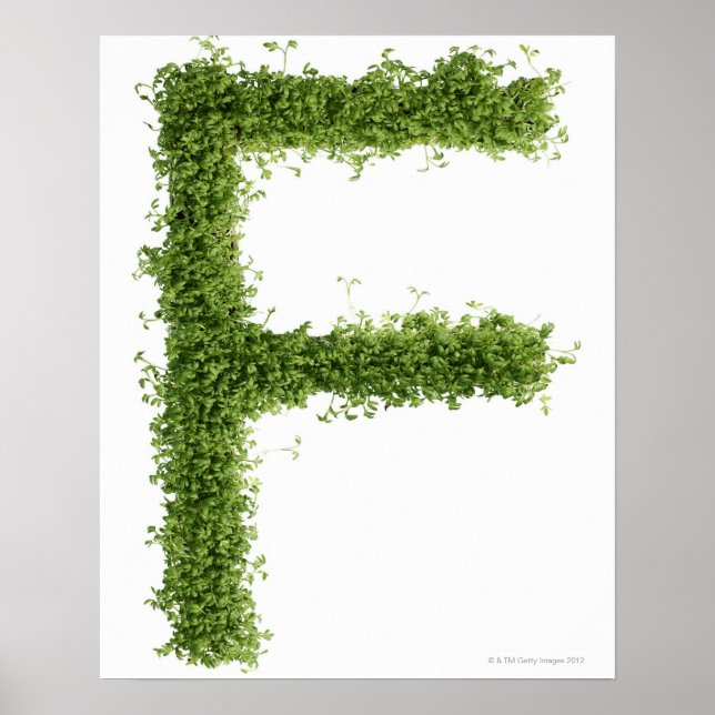 Brev 'F' i krass på vit bakgrund, Poster (Framsidan)