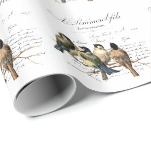 Brev och fåglar för vintage franskt presentpapper