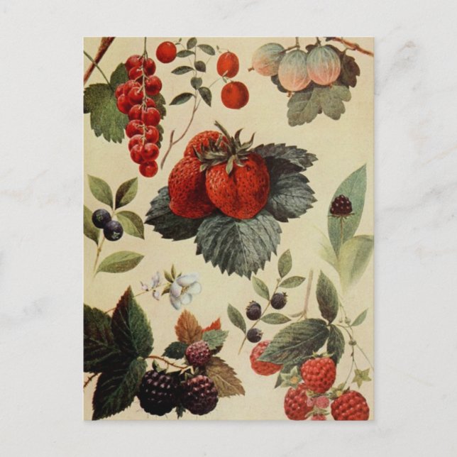 Brevkort för BERRIES BERRIES Vykort (Framsida)
