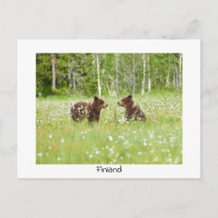 Brevkort för Finland Vykort