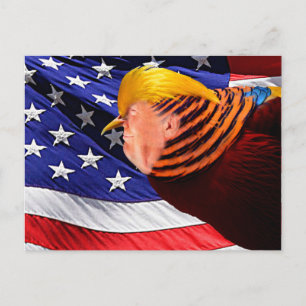 Brevkort för Golden Trump Bird USA flagga Vykort