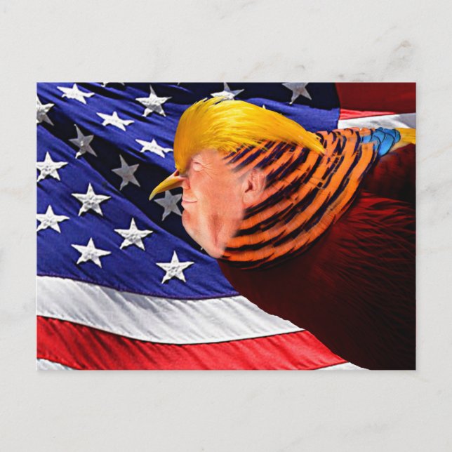 Brevkort för Golden Trump Bird USA flagga Vykort (Framsida)