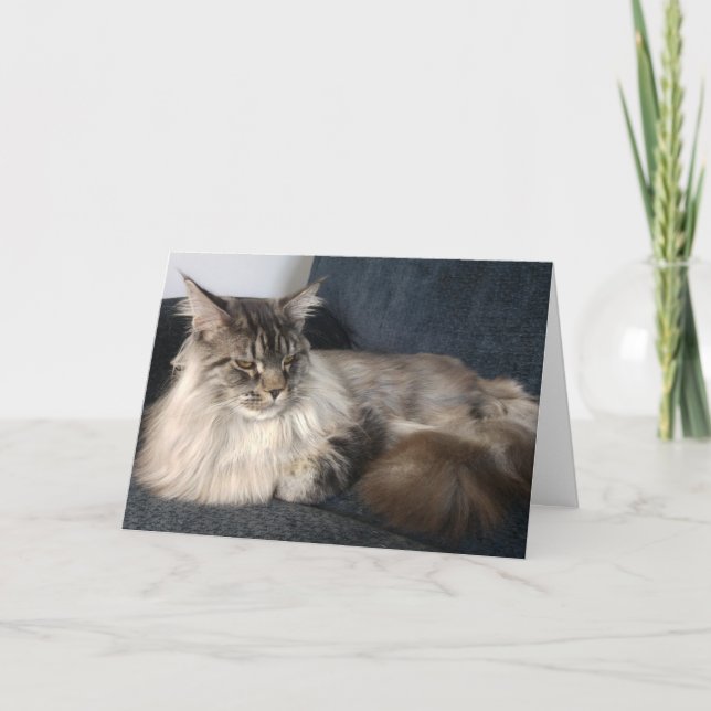 Brevkort för maine Coon Cat Kort (Framsida)