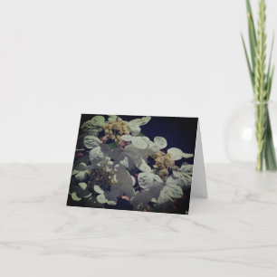 Brevkort för snöre Cap Hydrangea Flowers Tack Kort
