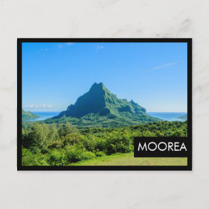 Brevkort från den tropiska grönten Moorea Black ra Vykort