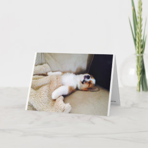 Brevkort - sovande Corgi Puppy Kort
