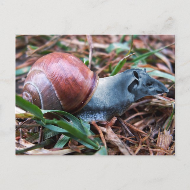 Brevkort Vykort (Framsida)