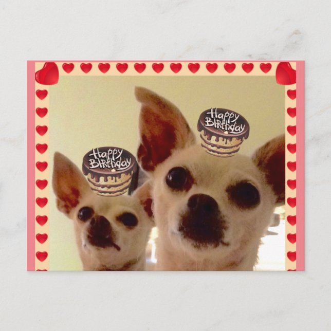 BREVKORT- VYKORT (Framsida)