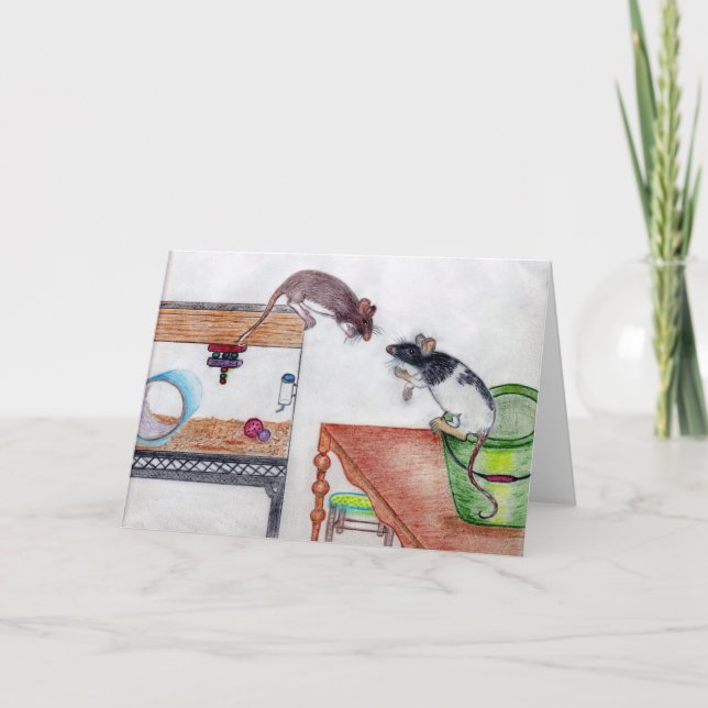 Brevlåda, Molly Note Card 4 Kort (Framsida)