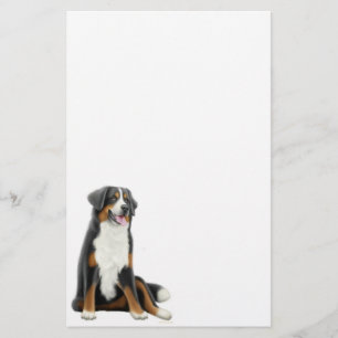 Brevpapper för Bernese berghund