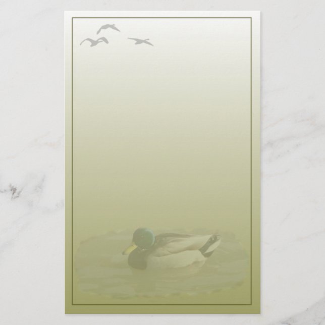 Brevpapper för gräsanddrakeanpassningsbar (Framsida)