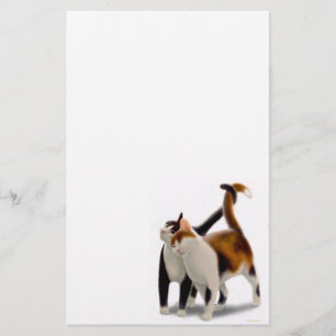 Brevpapper för kattdjurvänkatt