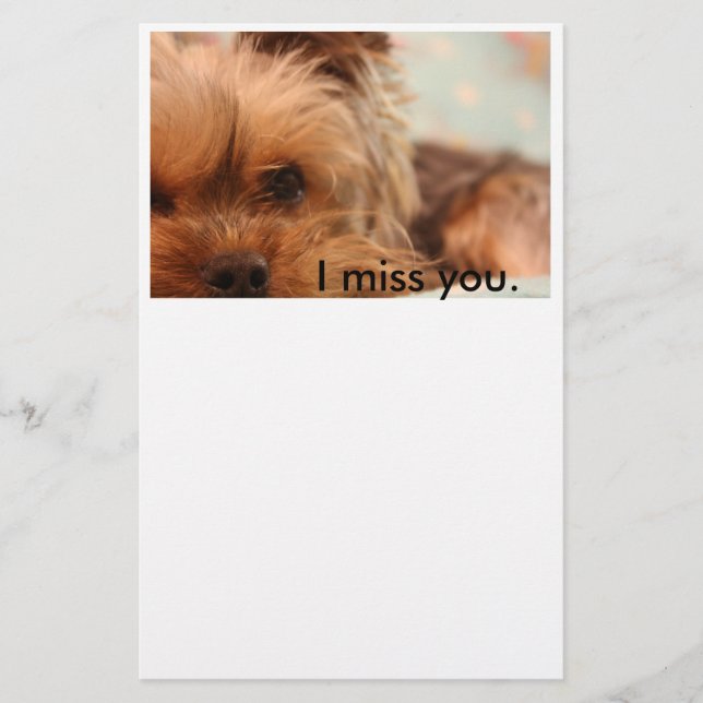 Brevpapper för tekoppYorkshire valp (Framsida)