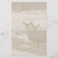 Brevpapper för Whitetailhjort