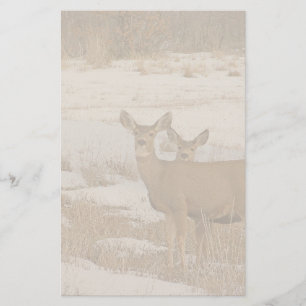 Brevpapper för Whitetailhjort