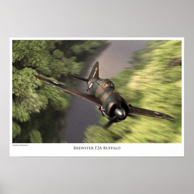 Brewster F2A Buffalo Poster (Framsidan)