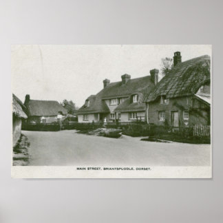 Briantspuddle, Dorset vintage vycard-utskrift Poster