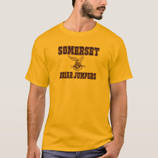 Briar Jumper Retro 1 T Shirt