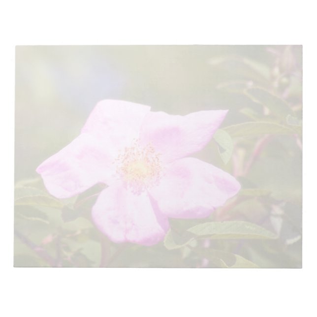 Briar Ro Anteckningsblock (Framsida)
