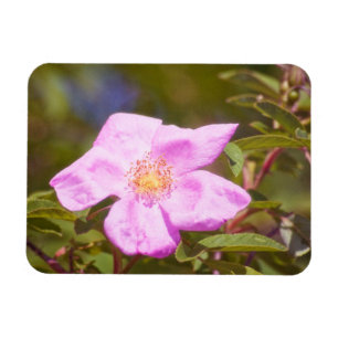 Briar Ro Magnet