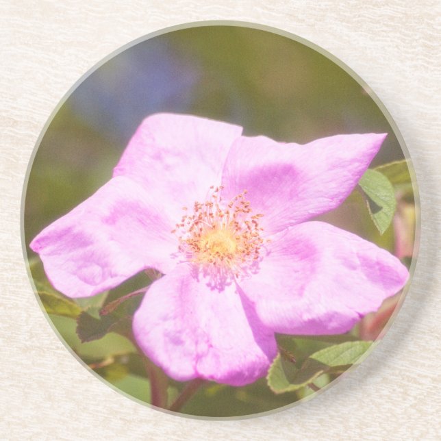 Briar Ro Underlägg Sandsten (Framsidan)