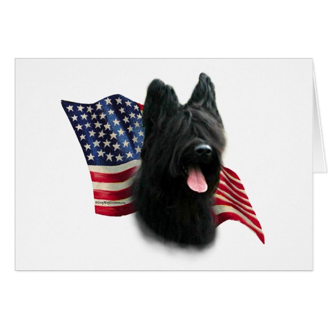 Briard Flagga Hälsningskort (Framsidan Horizontal)