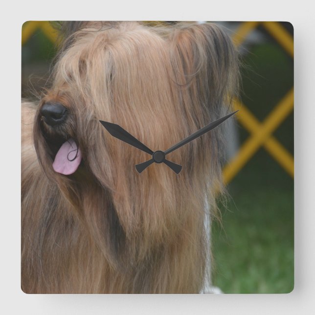 Briard Fyrkantig Klocka (Framsida)