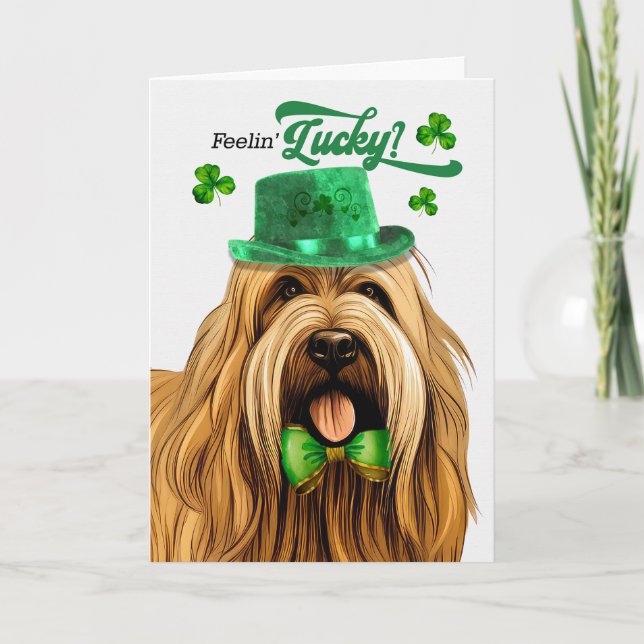 Briard Hund Feelin' Lucky St patrick's day Helgkort (Framsida)