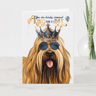 Briard Hund för en dag på födelsedagen Kort