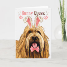 Briard Hund i Bunny Öron för Påsk