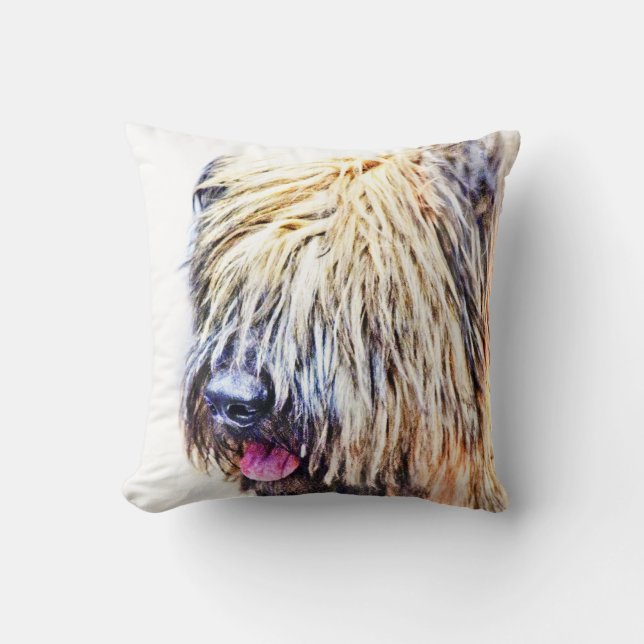 Briard hund kudde (Framsida)