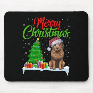 Briard Hund Ljus Funny Julafton Briard Musmatta