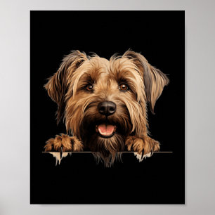 Briard Hund Mamma Pappa kikande Valp Poster