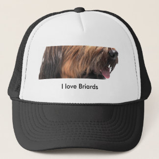 Briard Keps