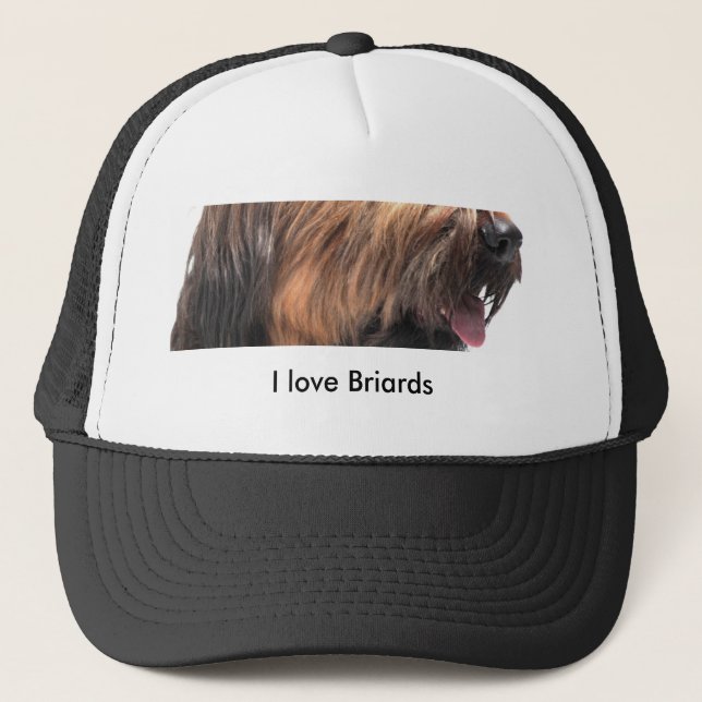 Briard Keps (Framsida)