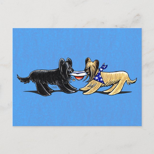 Briard Mad Hatters Off-Leash Art™ Vykort (Framsida)
