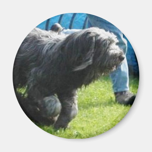 Briard Magnet (Framsidan)