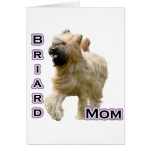 Briard Mamma 4 Hälsningskort