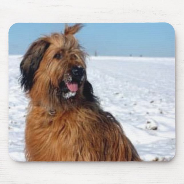 Briard Mousepad Musmatta (Framsidan)