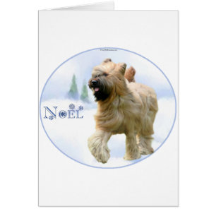 Briard Noel Hälsningskort