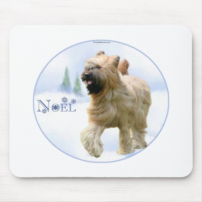 Briard Noel Musmatta (Framsidan)