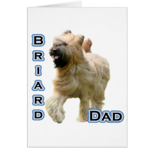 Briard Pappa 4 Hälsningskort