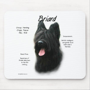 Briard (svart) historiedesign musmatta