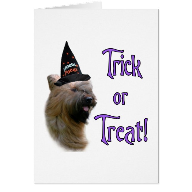 Briard Trick Hälsningskort (Framsidan)