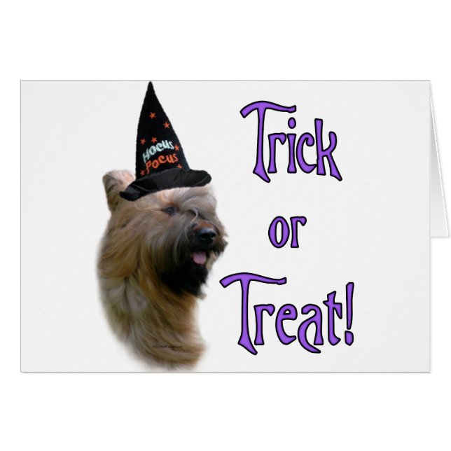 Briard Trick Hälsningskort (Framsidan Horizontal)