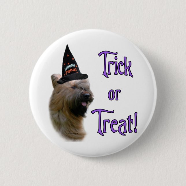 Briard Trick Knapp (Framsida)