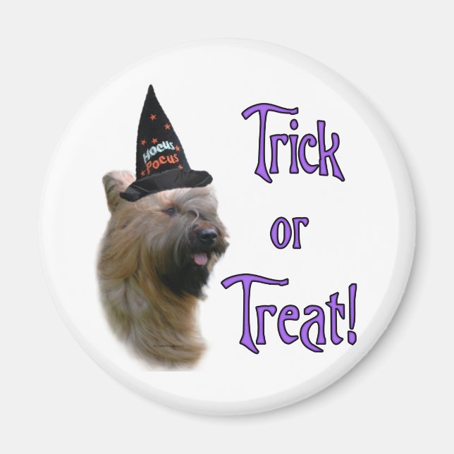 Briard Trick Magnet (Framsidan)