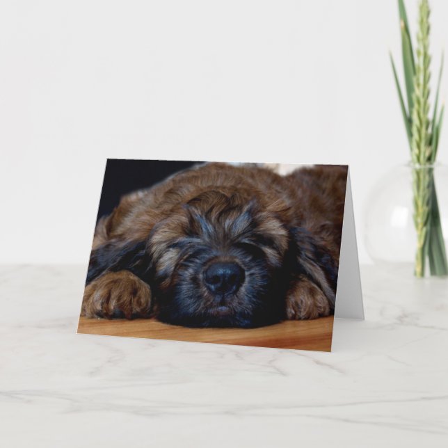 briardvalp kort (Framsida)